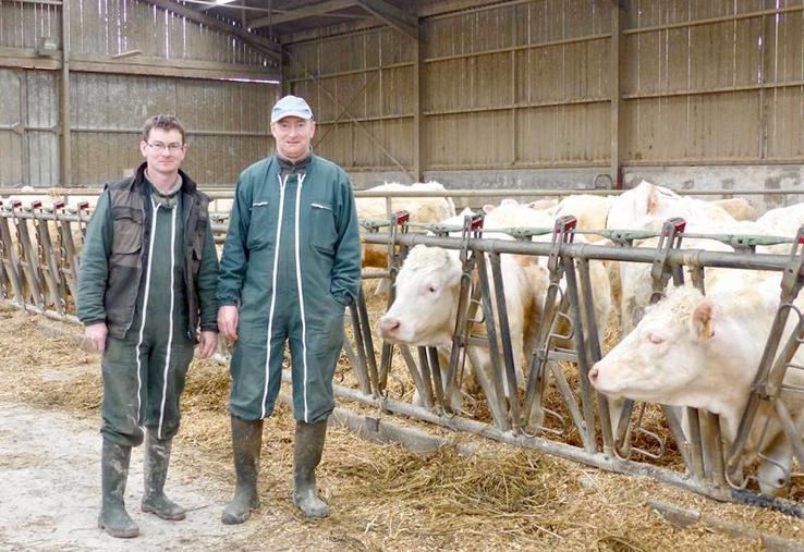 Nicolas et Sébastien Carouge viennent de s'engager dans la filière Prim'herbe de Carrefour pour leur charolaises. Le cahier des charges implique, entre autres, une alimentation sans OGM.