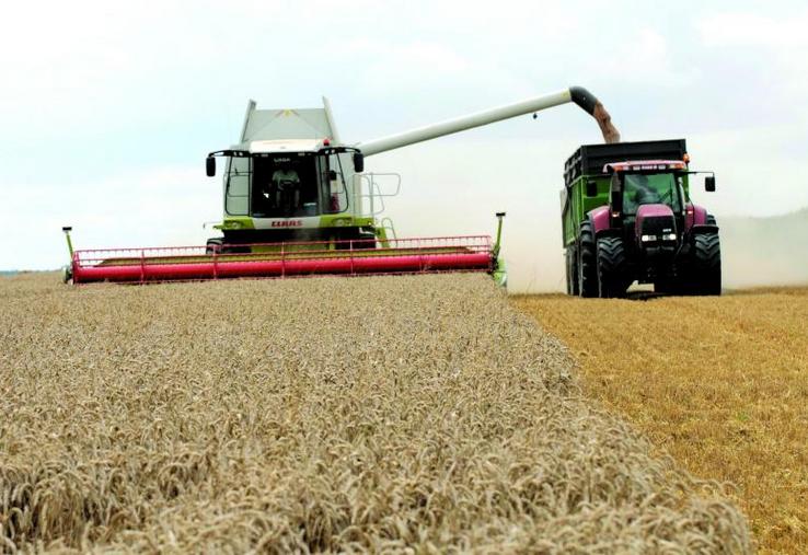 Agriculteurs et collecteurs ont été surpris par l’emballement des récoltes. Malgré des situations qui décrochent çà et là, les rendements en blé sont en général supérieurs aux niveaux attendus.
