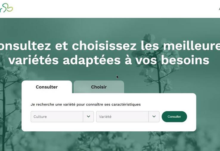 La page d’accueil de www.myvar.fr permet de consulter ou de choisir des variétés.