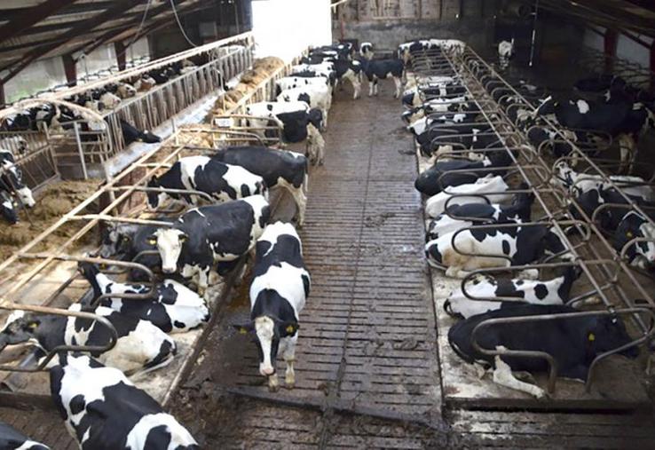 Les indicateurs de coûts de production travaillés par le Cniel sont désormais garantis en conformité avec le droit européen.