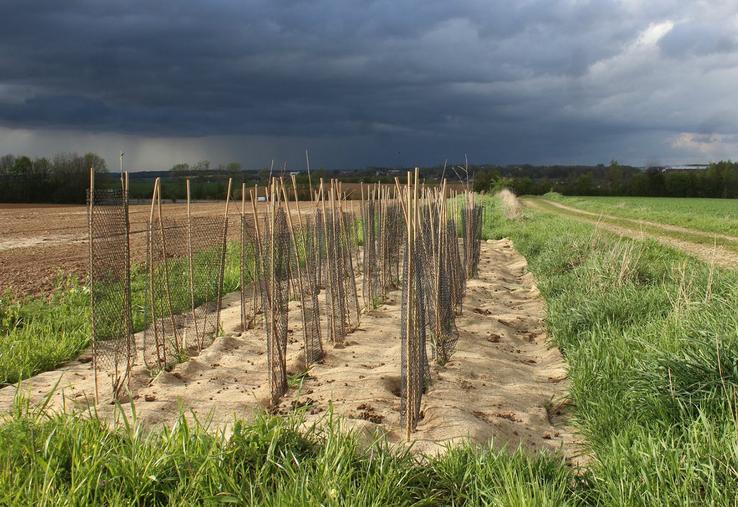 Les actions en faveur de la préservation des paysages ont le vent en poupe, mais de la concertation reste nécessaire,  selon certains porteurs de projets qui regrettent des initiatives isolées.