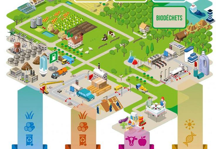 La bioéconomie englobe l’ensemble des activités de production et de transformation de la biomasse, qu’elle soit d’origine agricole, forestière ou aquacole, à des fins de production alimentaire (humaine ou animale), de chimie biosourcée, de matériaux biosourcés ou d’énergie.