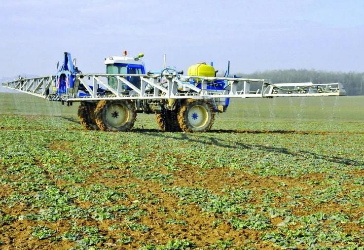 Premier apport azote colza.