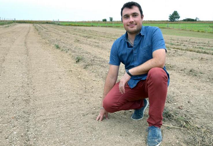La parcelle de 0,5 ha, entre Terramesnil et Beauquesne, dans laquelle Maxime Thuillier cultive du safran.