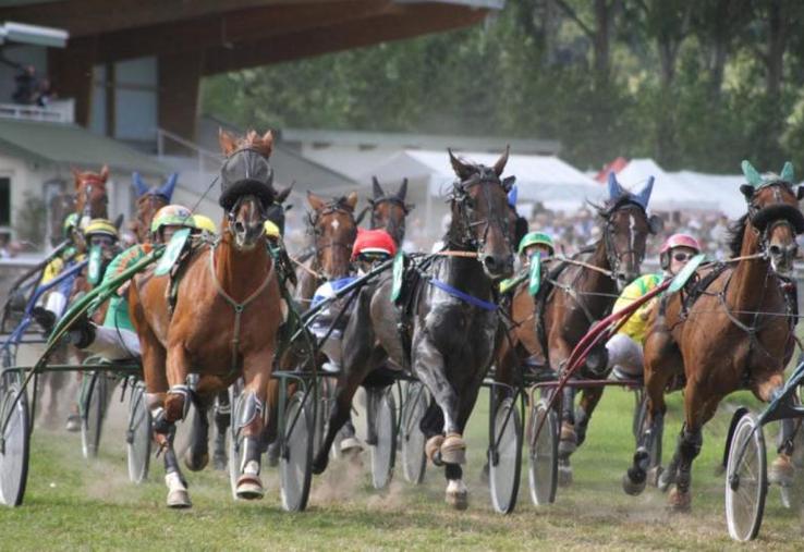Le 9 août dernier, certains propriétaires de chevaux et cavaliers ont fait le déplacement à Abbeville pour rien.