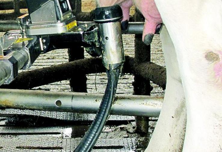 L’arrivée d’un robot de traite perturbe l’organisation globale 
de la production laitière, permet son augmentation et donne un nouvel élan à l’exploitation.