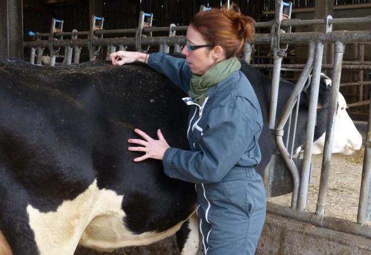 Frédérique Legenvre intervient sur le système musculo-squelettique.