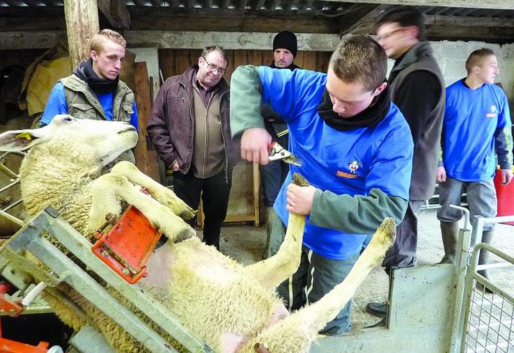 Les étudiants ont été félicités par le jury pour leur engagement 
et leurs très bons résultats dans les épreuves.