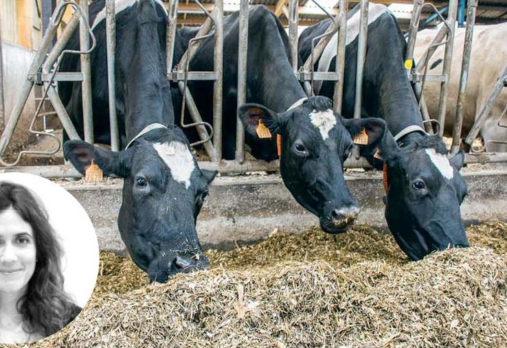 Cécile Riffard : «Les structures qui construisent des indicateurs de coûts de production ne travaillent pas de la même  manière. Cela peut concerner la rémunération de l’exploitant, ou la prise en compte de l’alimentation pour les animaux.»  