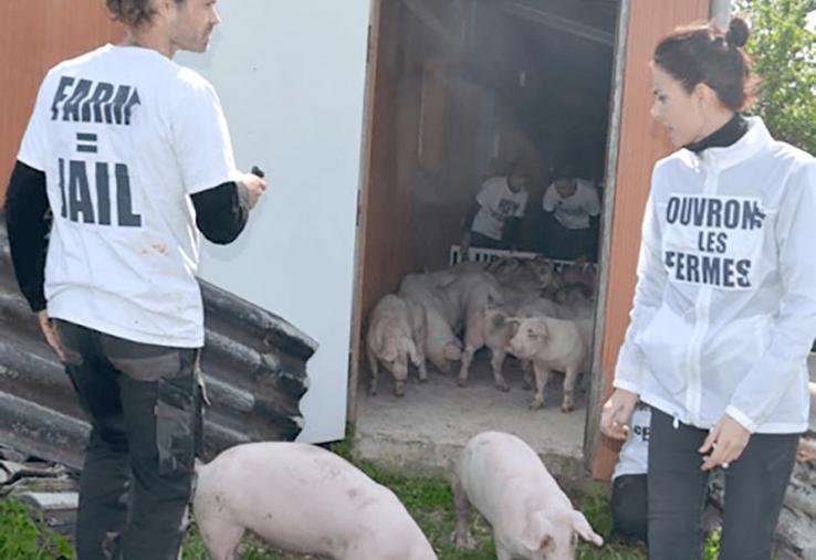 Tous les observateurs le reconnaissent : la pression des mouvements de défense du droit des animaux est devant nous.