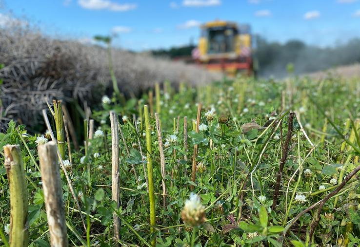 Le couvert est le premier levier pour améliorer le taux de matières organiques du sol. 