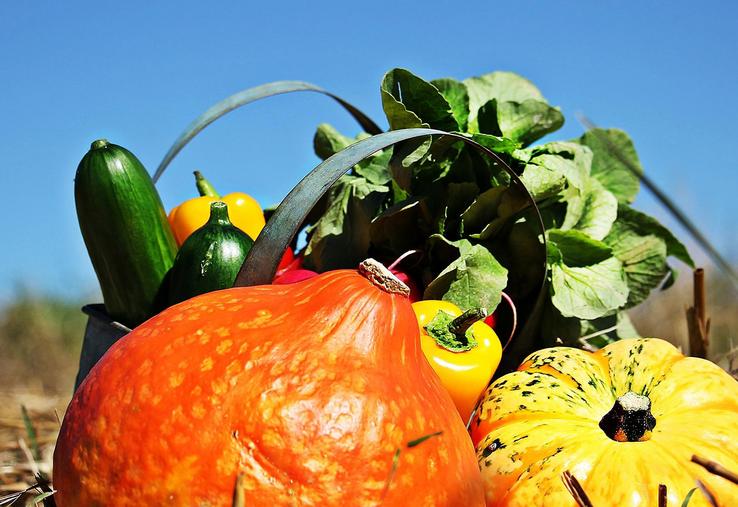 Le parcours comprend, pour un an, la livraison à chaque bénéficiaire de dix paniers de légumes, un atelier culinaire,  un accompagnement global sur les bases de l’hygiène, de la conservation et de la cuisson ainsi qu’un accompagnement autour de la transformation et la découverte culinaire. 