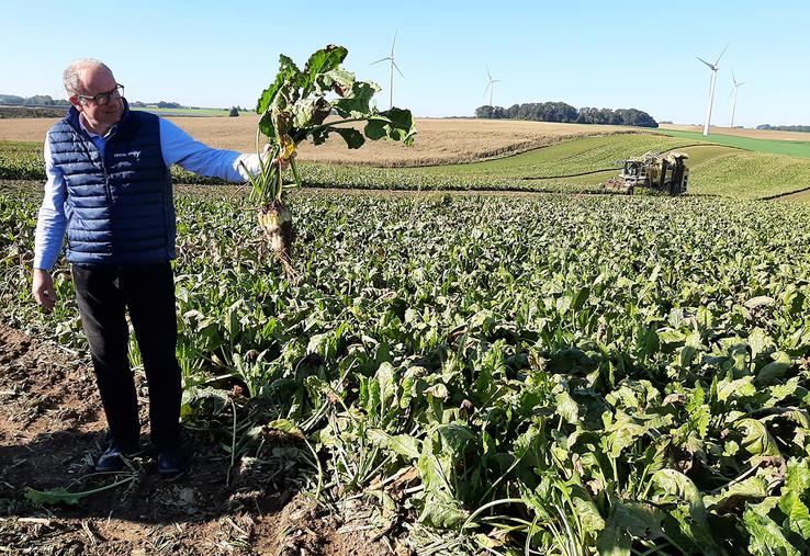 Dans le bassin d’approvisionnement de la sucrerie de Sainte-Émilie, rendement de racines et richesse en sucre sont au rendez-vous de la campagne 2021. 