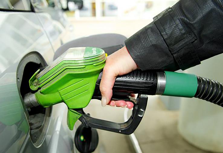 Méthanisation, carburants verts mais aussi coproduits animaux (entre autres) figurent dans les orientations de la future stratégie «produits biosourcés» et «carburants durables» en préparation du côté de Bercy.