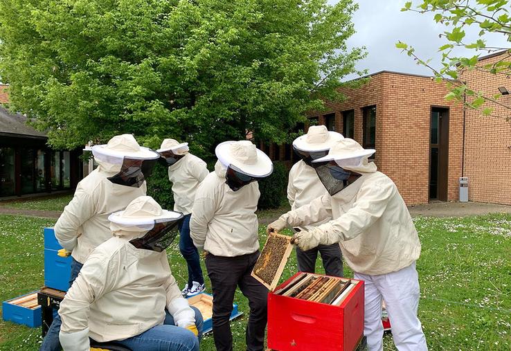 En plus de la gestion de la ruche, Thibaut Noël et Clément Gaudin proposent des animations autour de l’apiculture.
