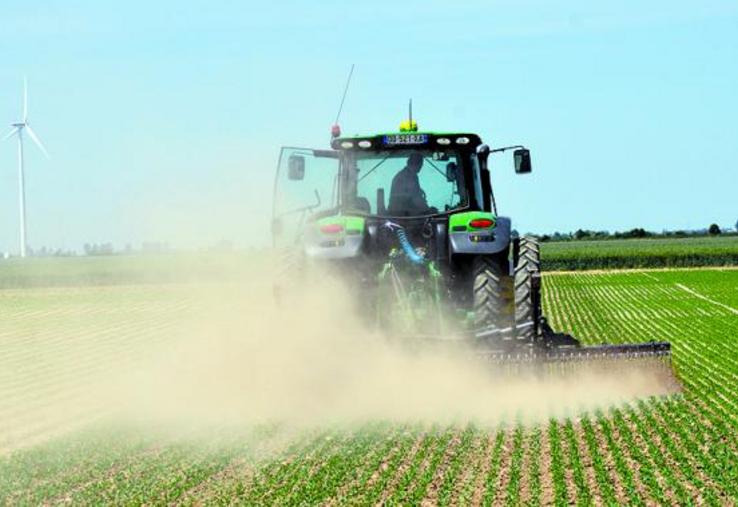 La houe rotative, un des outils pour réaliser le désherbage mécanique, permet de passer sur 100 % de la surface tant sur les parcelles de pois que de légumes verts.