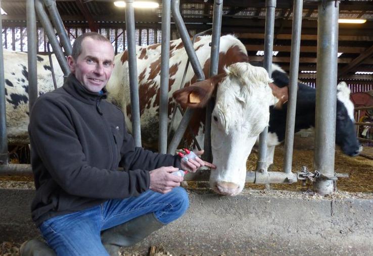 Didier Leleu soigne trois mammites sur quatre grâce à l’homéopathie.