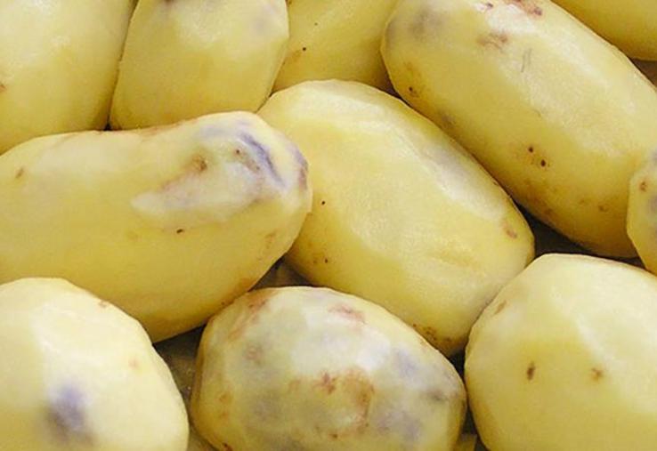 Le noircissement interne se caractérise par des taches sous-épidermiques de couleur gris bleuté (taches cendrées) d'un diamètre de 0,5 cm et plus qui peuvent évoluer en profondeur dans la chair des tubercules et devenir noires dans les cas les plus graves.