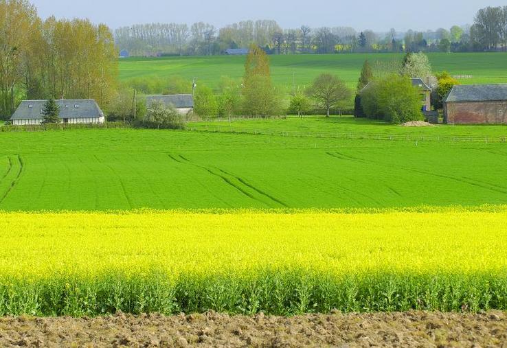 Cette année, les DPU sont réduits de près de 6%, soit quasiment le double des années antérieures.