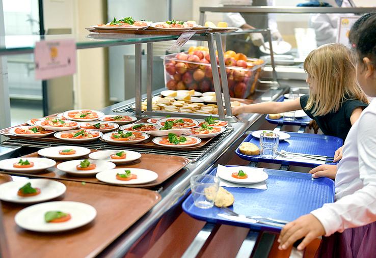 Parmi les mesures, un menu végétarien hebdomadaire est imposé en restauration scolaire, et la liste des produits éligibles pour atteindre l’objectif «50 % de produits de qualité et durables, dont 20 % de bio» a été précisée. 