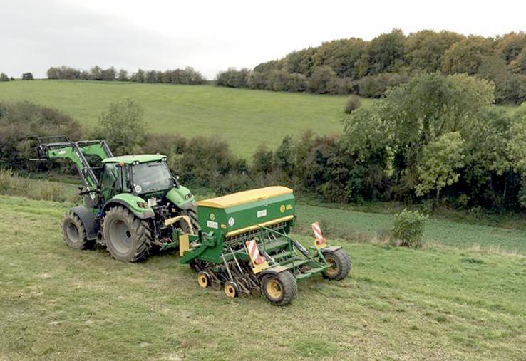Premiers semis sous couvert dès cet automne.