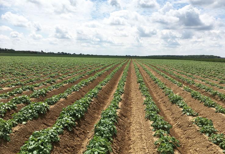 Ces dernières années, notre département a traversé des météos très contrastées, il est donc important d’observer les rendements sur plusieurs années. 