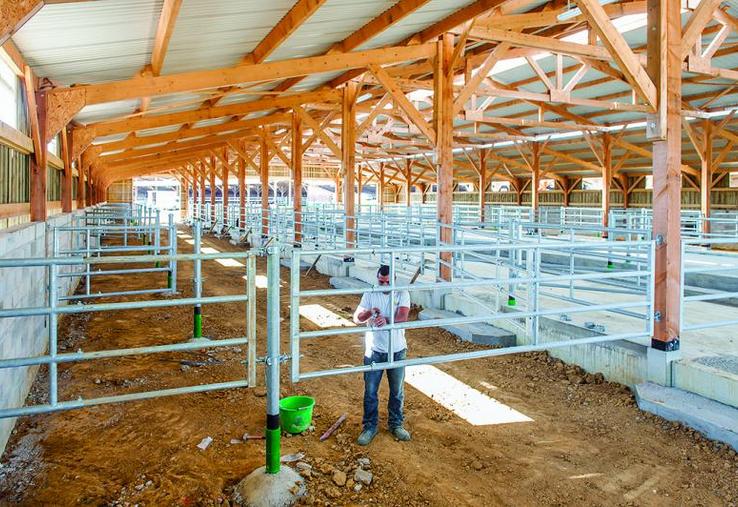 L’élevage : priorité du Pcae.