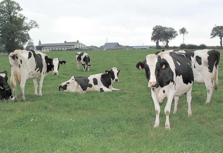 Dans l’ensemble, les prix de base proposés aux producteurs par les industriels se situent au même niveau.