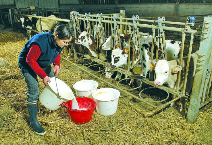 Si créer une entreprise agricole dans le contexte actuel paraît périlleux, il y a encore de belles opportunités.