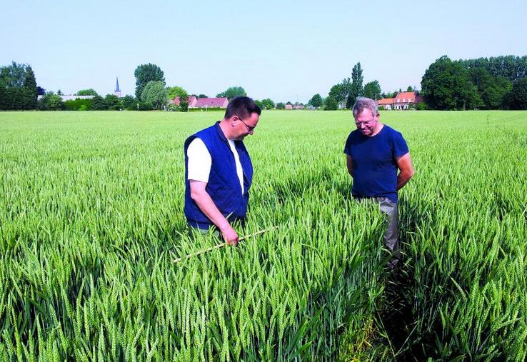 Les productions de semences demandent un savoir-faire et beaucoup de technicité.