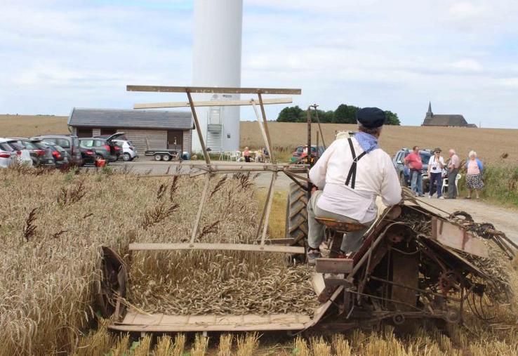 Hubert Herbaux aux commandes de la lieuse fait revivre une récolte à l'ancienne.