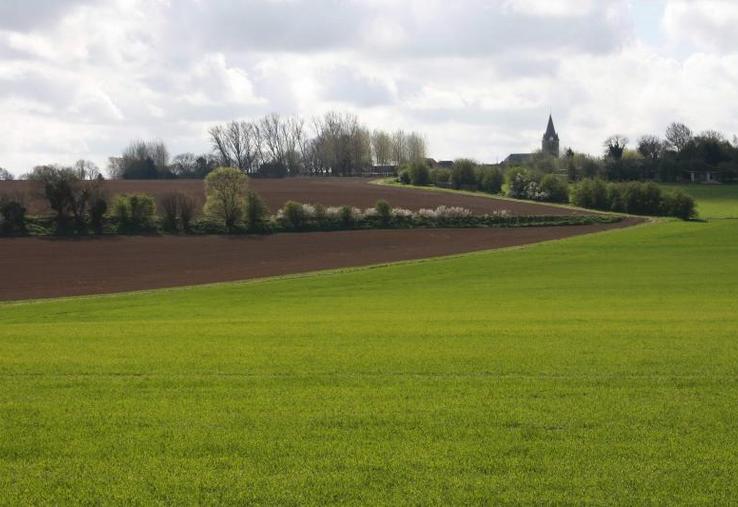 Le 16 octobre, l’Agence de services et de paiements (ASP) a procédé à un premier paiement des aides Pac 2020.