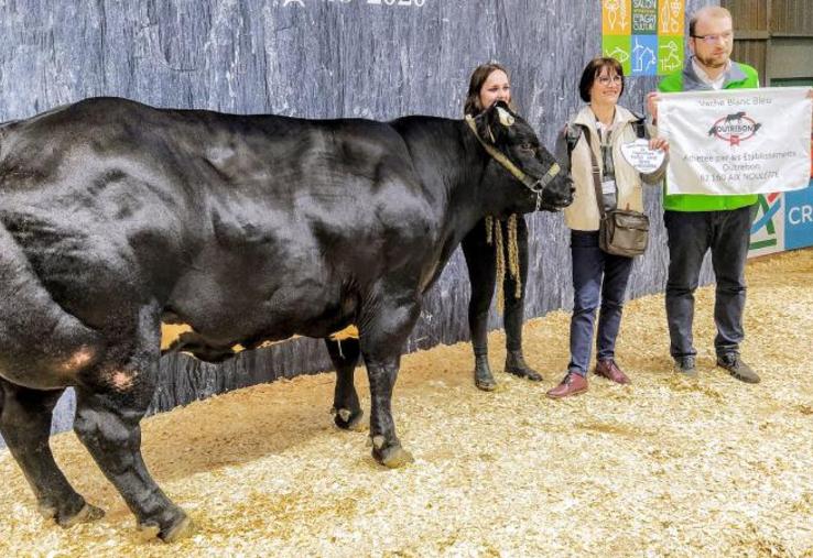 Signe de sa renaissance, le Label rouge blanc bleu a été mis à l’honneur lors du dernier salon de l’agriculture 
à Paris, porté aussi par l’élan national de développement de filières viande bovine en Label rouge.