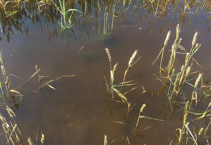 Selon le projet de loi, la couverture des risques climatiques s’effectuera selon trois niveaux, du courant à l’exceptionnel en passant par le significatif.