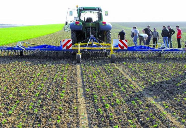 Herse etrille Treffler.