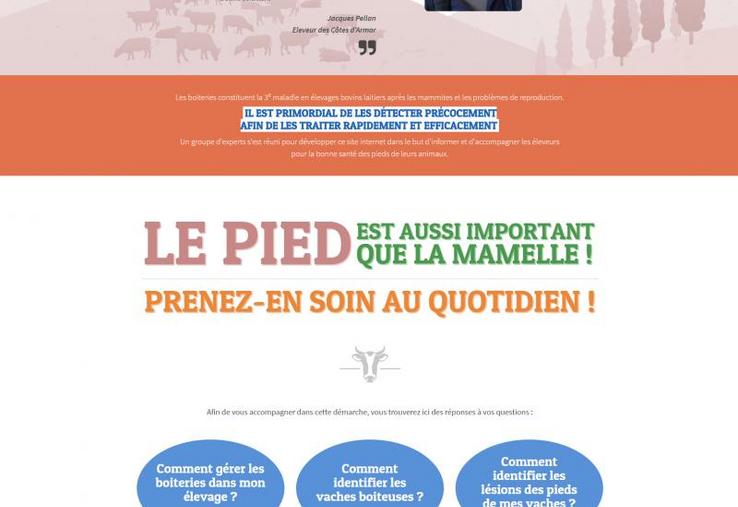 Le pied est aussi important que la mamelle. Pour aider les éleveurs à en prendre soin, un site de références sur le sujet a été développé.
