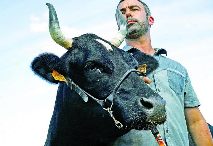FIne, la vache bretonne pie-noir, est l'égérie de ce salon. Ici, avec son éleveur Cédric Briand. «On s'installe d'abord par passion», a insisté Jean-Luc Poulain, président du ia.