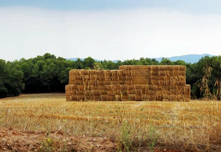 80 hectares de paille en andain et 300 tonnes sous abris ont été réunis par la FDSEA80 dans le cadre de l'opération "Solidarité paille".