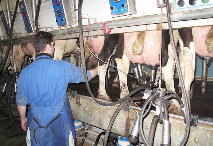 Pour ceux qui ont récemment investi, notamment les jeunes, le montant des annuités est souvent supérieur à 110-120 € les 1 000 litres.