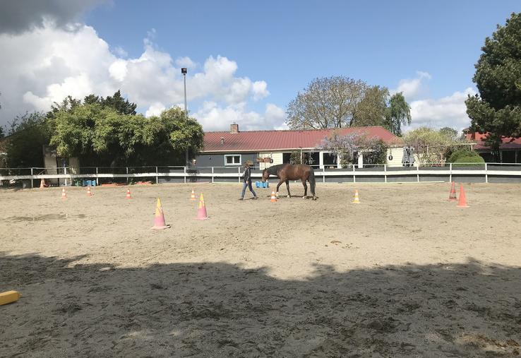 Il a fallu instaurer une relation de confiance avec Fiston pour qu’il accepte de coopérer. Le principe est le même pour la collaboration avec des collègues de travail.  