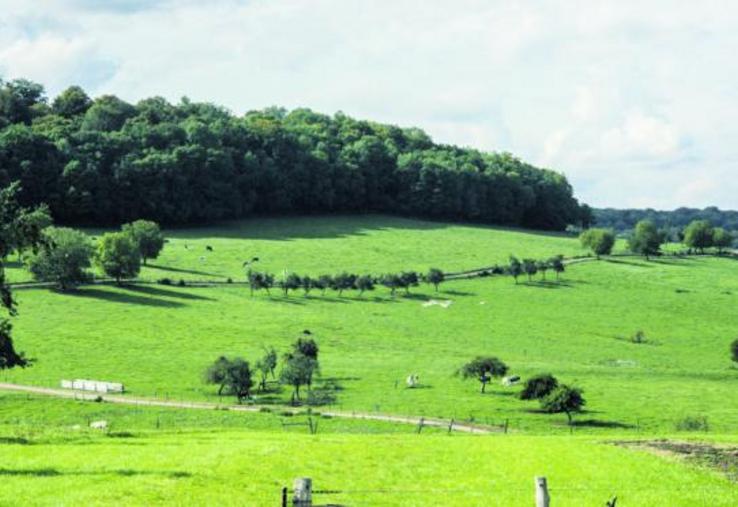 La remise en culture des prairies a été accélérée par les annonces de l’Etat depuis 2012, tant chez les éleveurs qui ont cessé leur activité d’élevage que pour ceux qui la poursuivent.