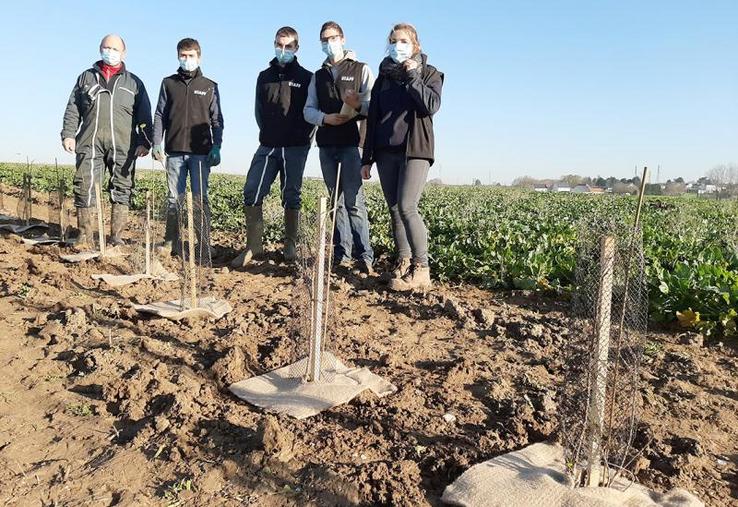 Agathe Charles, Benoît Cardon, Antonin Chivet, Victorien Thoquenne, les quatre chefs de projet de cette opération baptisée «Agro-haiEcologie» et l’agriculteur qui accueille sur sa parcelle une haie bienvenue.