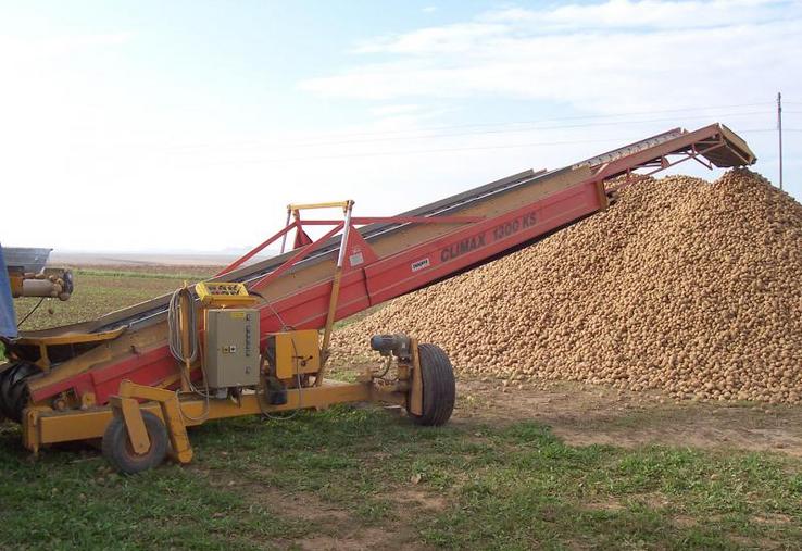 Après avoir perturbé les arrachages, la pluie complique l’étape de conservation des pommes de terre féculières, 
en particulier, lorsqu’elles sont stockées en extérieur.