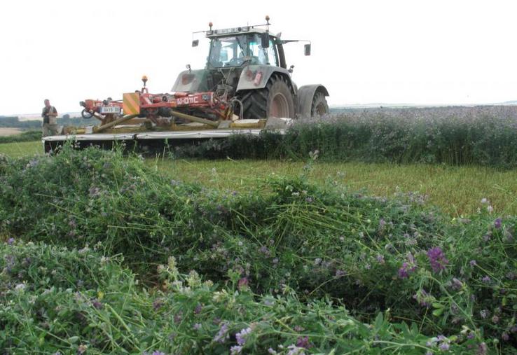 La filière a réussi à compenser la baisse des aides Pac à l’hectare et a redonné du revenu aux producteurs.