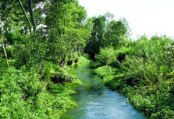 Le schéma d’aménagement et de gestion de l’eau (Sdage) encadre toute la politique de l’eau dans le bassin Artois Picardie.