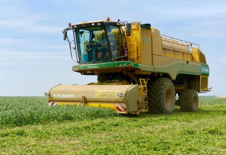 La campagne 2020 a été difficile pour les producteurs qui appellent les autres acteurs de la filière à les soutenir.