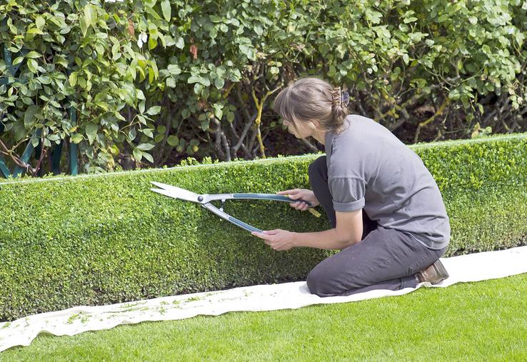 L’année 2021 pourrait être «exceptionnelle» pour la filière des végétaux d’ornement avec un réel engouement des Français pour l’aménagement de leurs extérieurs.