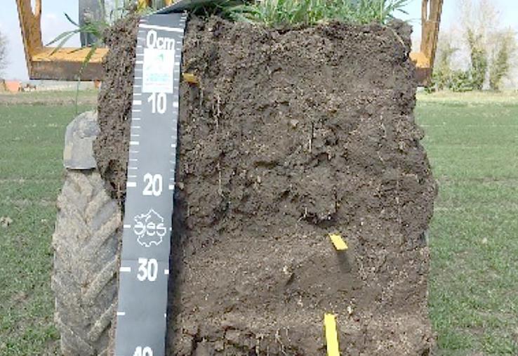 Le suivi de la vie biologique des sols se réalise par une analyse physico-chimique des sols, une analyse de la terre, des comptages et identification des vers de terre, le calcul de la teneur et de la biomasse microbienne, l’activité enzymatique, le suivi de la décomposition des pailles et l’état structural des sols.