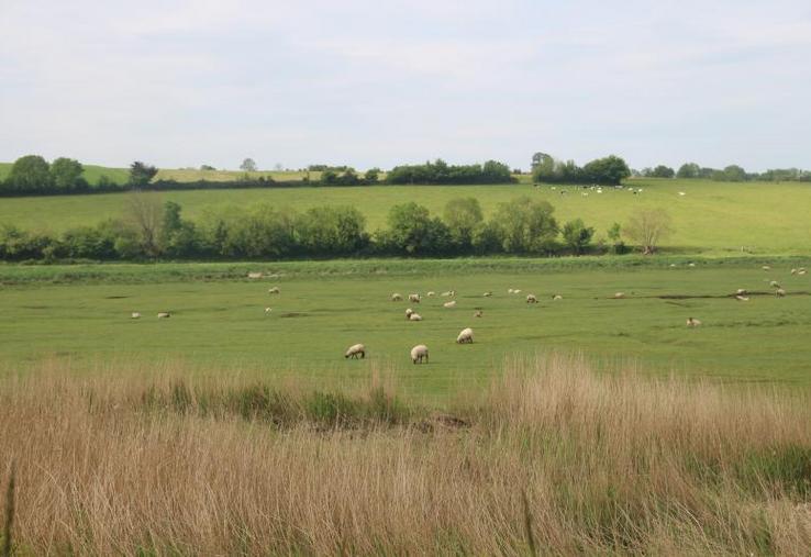 La plus forte demande des consommateurs en agneaux de prés salés est au printemps. Or, la production débute en juillet. 