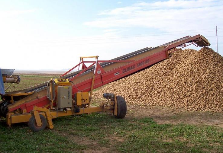 Pour la filière fécule à l’échelle de la France, «les surfaces ont plutôt tendance à augmenter» constate Olivier Brasset, président de la commission «fécule» de l’UNPT et président de la coopérative féculière de Vecquemont le 5 novembre, mais les rendements ne suivent pas.